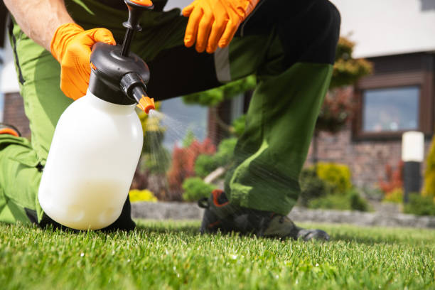 Best Exterminator Services  in Franklin, VA