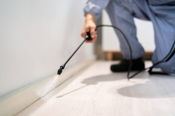 Best Best Pest Control Companies  in Franklin, VA