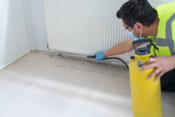Pest Control Cost in Franklin, VA
