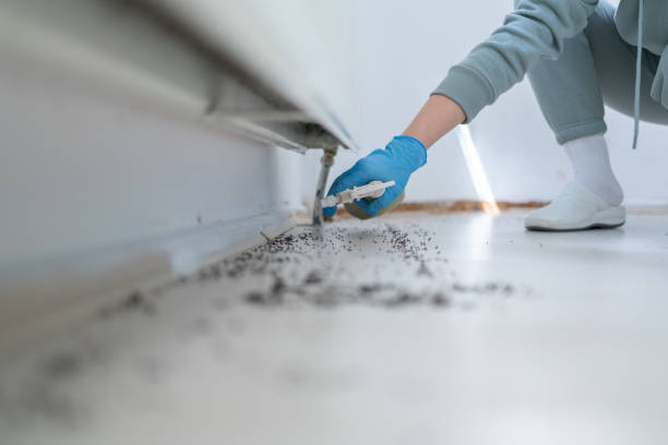 Best Pest Control Near Me in Franklin, VA