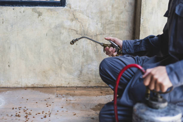 Best Pest Control Near Me  in Franklin, VA